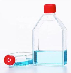 T2 T75 T175 T225cm2 Flacons de culture cellulaire Fioles traitées TC - Product Image 5