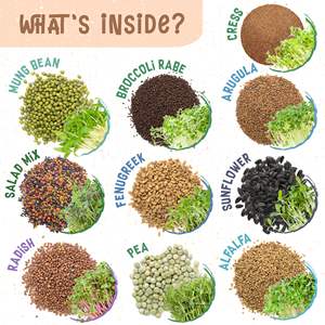 Yüksek kaliteli organik 10 Microgreens bahçe çantası paket bitki yetiştirme kiti brokoli içerir maş fasulyesi İsviçre Chard buğday büyümek - Product Image 3