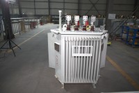Transformateur de distribution triphasé immergé dans l'huile Wanbo-99 IEC 60076 630kVA/800kVA/1000kVA 11kV/22kV 400V 50/60Hz Cuivre
