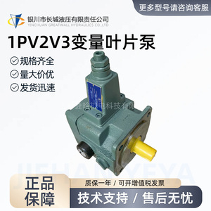 ปั๊มใบพัดปรับได้ยี่ห้อหยินชวน รุ่น 1PV2V3-4025RA01MC100A1 ปริมาณ 20 ลิตรต่อนาที แบบยึดหน้าแปลน สำหรับระบบไฮดรอลิก - Product Image 2