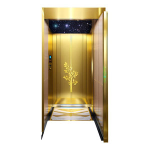 Petit ascenseur pour <span class=keywords><strong>fauteuil</strong></span> <span class=keywords><strong>roulant</strong></span> domestique pour personnes handicapées avec <span class=keywords><strong>prix</strong></span> d'usine - Product Image 1