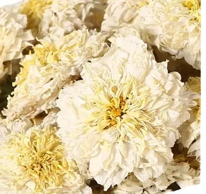 Premium quality Florists Chrysanthemum flower herbal tea Chinese traditional herbs flower tea