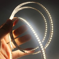 Bandes LED DC12V 24V AC110V 220V 2835 120 240 LED/m 8mm 10mm 18W 5M 10M 3000k 4000k 6500k Blanc Dimmable Flexible