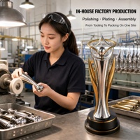 Trophée personnalisé en or, argent et noir, design aile, récompense métallique sur mesure, pointe triangulaire, OEM ODM, trophées personnalisés directement de l'usine