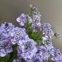 Bunga Scabiosa Buatan Grosir L-553, Bunga Pincushion Sutra Palsu Putih Multi Kepala, Buket Pernikahan, Dekorasi Rumah