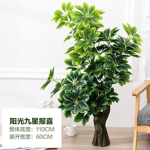 Annonce neuf étoiles 120cm - sans pot