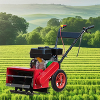 Moteur à essence pour désherbeuse, boîte de vitesses, roulement, moteur agricole, économie de main-d'œuvre, haute efficacité, largeur de coupe 400 mm, démarrage manuel
