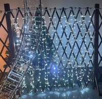 Guirlande Lumineuse Commerciale Blanc Chaud Personnalisable pour Décoration Extérieure Étanche Mariage & Noël, à Suspendre au Plafond