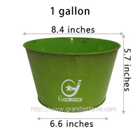 Pot de fleurs en métal de 1 gallon pour la maison, le jardin et les présentoirs de plantes