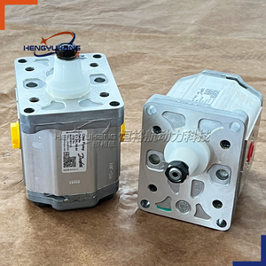 <span class=keywords><strong>Pompe</strong></span> hydraulique SAUER <span class=keywords><strong>DANFOSS</strong></span> 111.20.280.00 SNP2NN/011RN01BAP1F4F4 111.20.284.00 SNP2NN/017RN01BAP1F5F4 <span class=keywords><strong>Pompe</strong></span> à huile <span class=keywords><strong>Pompe</strong></span> à engrenages pour - Product Image 2