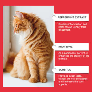 Complément alimentaire pour animaux de compagnie favorisant l'absorption des nutriments <span class=keywords><strong>et</strong></span> soulageant l'inconfort des chats <span class=keywords><strong>et</strong></span> des chiens - Product Image 6