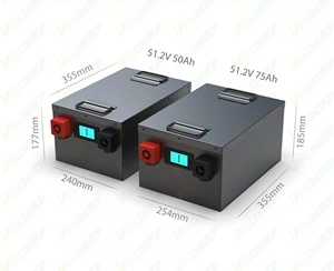 2000W 모터 48V 50AH 리튬 이온 배터리 LiFePO4 배터리 팩 E-세발자전거 페디캡 잔디 무버 청소 로봇 배터리 - Product Image 2