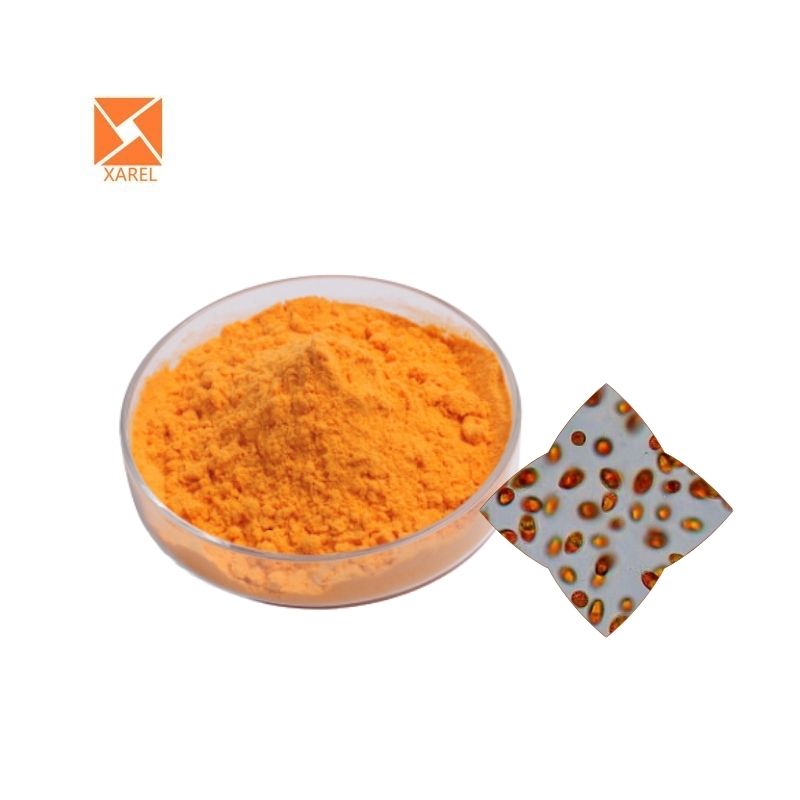 100% dunaliella Salina chiết xuất dunaliella Salina bột 5% beta carotene