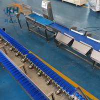 Máquina Clasificadora de Peso Automática Tipo Caja, Fácil Operación para Fábricas de Procesamiento de Alimentos Medianas y Pequeñas