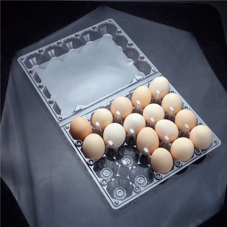 Food Grade PET Plastic Eggs Tray