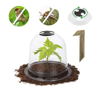 Protezioni per piante spesse serra PVC plastica cupola giardino Cloche coperture per piante trasparenti
