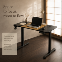 Bureau debout électrique AOR pour télétravail, hauteur réglable, MDF, certifié CE, acier inoxydable avec rangement, durable, vente en gros usine