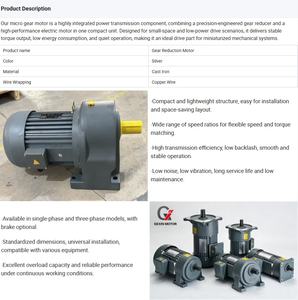 Motorreductor Eléctrico Trifásico de 750W, 220V, 380V, 415V, 50/60Hz CA, Motor de Engranajes Pequeño de CA - Product Image 4