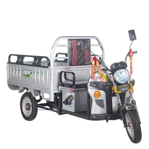 QSD 저가 자동 인력거 예비 품목 Bajaj 3 바퀴 오토바이 작은 트럭 화물을 위한 고품질 전기 세발자전거