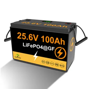12v 25.6v 300ah Lifepo4 batteria 200ah 100ah batterie al litio 6000 + cicli 1kw 2kw 5kw per Rv barca solare 5 anni di garanzia