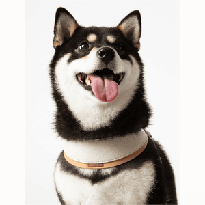 <span class=keywords><strong>Harness</strong></span> Kulit Anjing Mewah Warna Putih Krim, Produsen Desainer Grosir, Tanpa Tarik, Custom Made, Dapat Disesuaikan - Product Image 3