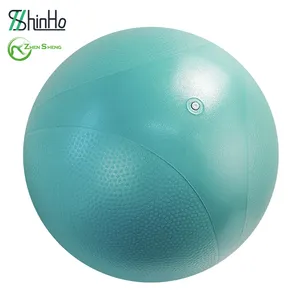 Zhensheng Custom Logo Ecofriendly Durable Soft Extra Thick Patent Swiss Yoga Ball