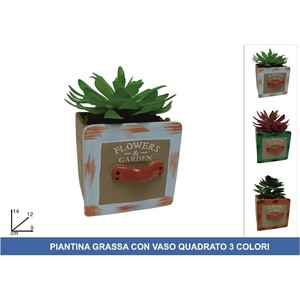 Pianta Succulenta in Vaso Quadrato Disponibile in 3 Colori per Giardino Interno o Decorazione Ufficio - Product Image 1
