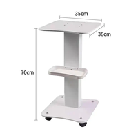 Chariot de beauté multifonctionnel en acier inoxydable, capacité 60 kg, pour salons et hôpitaux – Vente chaude