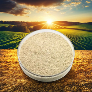 Lisina Solfurata Grado Alimentare HCl Poli-L-Lisina per Animali, Direttamente dalla Fabbrica - Product Image 2
