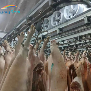 Cella Frigorifera Automatizzata per Macellazione con Unità di Preraffreddamento, Congelatore a Blast <span class=keywords><strong>e</strong></span> Stanza di Conservazione a <span class=keywords><strong>Freddo</strong></span> per Processori di Carne Americani - Product Image 5