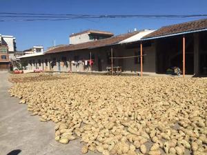 Zakken Voor Vogels. Vogeldoos. Gras Vogel Huis - Product Image 3