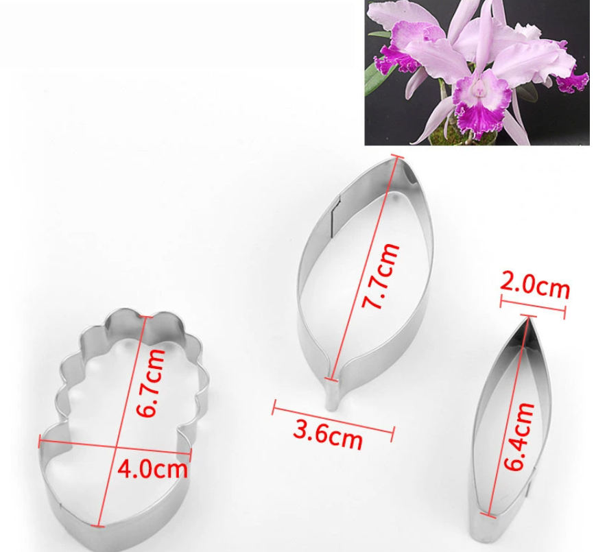 ซิลเวอร์-แคทลิแลนด์ ฟลาวเวอร์ เอ
