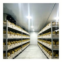 Chambre froide de haute qualité pour la conservation des fruits de mer, système de réfrigération et de congélation, chambre froide à plain-pied, la plus vendue