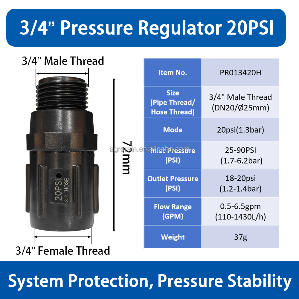 3/4'' 20 psi (1,3 bares)