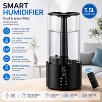 Humidificateurs ultrasoniques de 5,5 L de bonne qualité Air Innovations à brume chaude et froide, remplissage par le haut