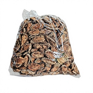 Tranches de fleurs de palmier Toddy séchées de qualité supérieure, tranches de spathes de palmier Palmyra mâle séchées, tranches de Borassus Flabellifer, prix compétitif - Product Image 1