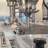 Machine de remplissage automatique de bouteilles de poudre à double station, de 100 g à 2 kg, pour poudre de lait, poudre de protéines, poudre de cacao