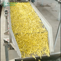 Ligne de production de frites à haut rendement avec éplucheur à vapeur 1000kg-3000kg/h, ligne de traitement des pommes de terre, technologie de peeling à faible perte
