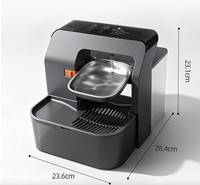Distributeur d'eau automatique pour chat, en ABS, avec réservoirs séparés pour eau propre et eau sale