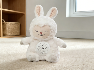 Giocattoli Intelligenti AI Personalizzati per Bambini, Giocattolo Educativo Interattivo con Batteria al Litio, Giocattolo di Apprendimento in Plastica con Controllo Vocale - Product Image 4