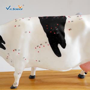 एक्यूपंक्चर मुक्त गाय जानवर शरीर रचना मॉडल के साथ 3 डी मॉडल पशु एक्यूपंक्चर मॉडल के साथ एक्यूपंक्चर मॉडल - Product Image 5