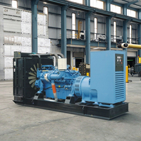 15kW 20kW 30kW Offener Dieselgenerator Automatischer Transferschalter Elektrisches Kraftwerk