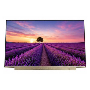 Panel eDP Estándar de 3.0mm BOE NV173FHM-N49 60Hz 16.7M Colores para Repuesto de Pantalla LCD de Portátiles Empresariales de 17.3 Pulgadas de Gama Media - Product Image 2