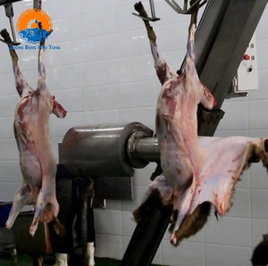 Solución Integral Halal para Sacrificio de Ovejas y Cabras, Línea de Procesamiento de Carne para Mataderos, Equipo y Máquinas con Soporte de Personalización - Product Image 3
