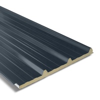 Panneaux à Sandwich pour salle de refroidissement, panneau en mousse de polyuréthane, Frp, deuxième main, pour chambre à froid, livraison depuis la chine