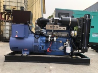 Groupe électrogène diesel refroidi par eau, type silencieux à châssis ouvert, marque chinoise, triphasé, 50/60 Hz, 1500/1800 tr/min, ATS, 200 kW, 300 kW