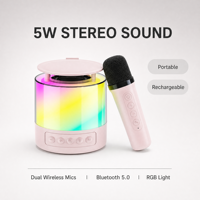 Enceinte KTV portable d'extérieur avec deux microphones, éclairage LED RGB violet alimenté par batterie