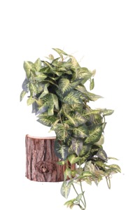 Vente en gros de plantes artificielles en <span class=keywords><strong>pot</strong></span> suspendues, fausses plantes de <span class=keywords><strong>lierre</strong></span> en pots, petites plantes d'intérieur pour la décoration de la maison - Product Image 4