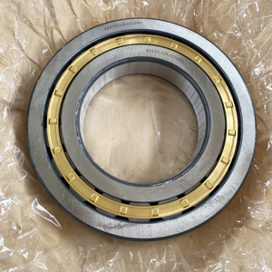 Rolamento de rolo cilíndrico NF2220 NF2222 NF2224 para moinho de aço DST de alta precisão - Product Image 1