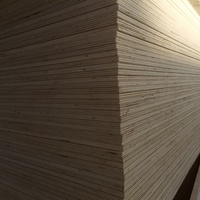 2mm Easy Boards Epaisseur Grade 2.7mm 300mm * 300mm Feuilles de contreplaqué de tilleul découpées au laser Balsa 3mm 4mm 5mm 6mm Contreplaqué de bambou de bouleau